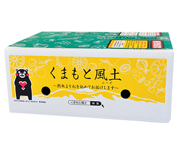 熊本小玉完熟みかん / くまもと風土