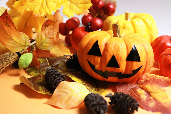 インスタ映えする！ パーティが盛り上がる！ 人気のハロウィンスイーツ５選 ～プチケーキ、ロールケーキ、プリン、団子、ラスク～