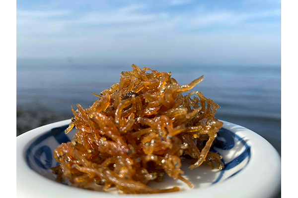 海から上がったら、すぐ食卓へ！ 旨味たっぷり、淡路島の佃煮