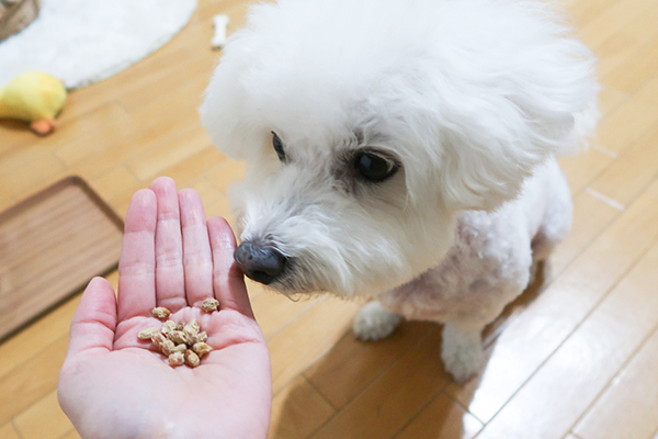 総合栄養食の国産自然食ドッグフード「ドットわんごはん -Red mind-」生きた納豆菌を届ける「ドットわん フリーズドライ納豆」