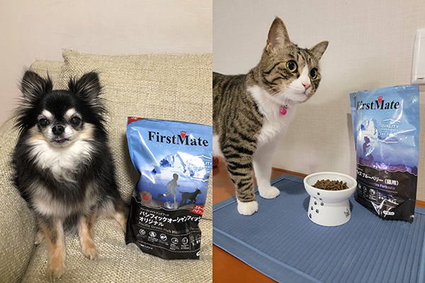 グレインフリー＆グルテンフリーでフレーバーも豊富なペットフード「ファーストメイト 犬用」「ファーストメイト 猫用」