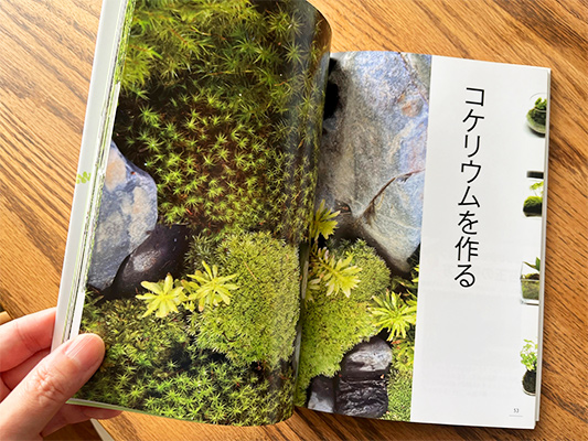 インテリアに癒しの空間を。苔の種類や育て方のハウツー本『苔で楽しむ