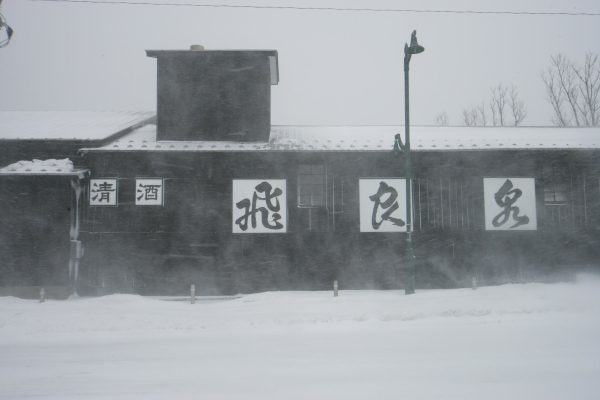 飛良泉本舗_4