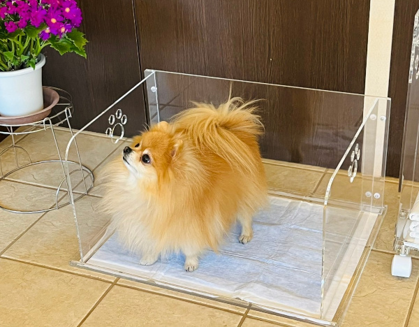 愛犬の様子も可愛く見える透明感。日本の匠が磨き上げたアクリル製ペットトイレ「パウ」