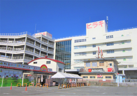 ヒラキ_3