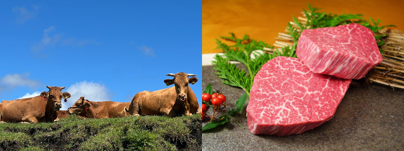 三協畜産_2