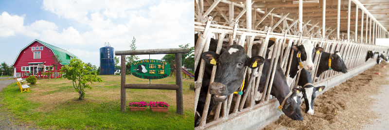 町村農場_2