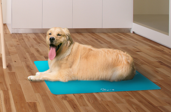大切な愛犬のために！ひんやり犬用クールマット「クーラーボード」と食器台「フードボウルテーブル」