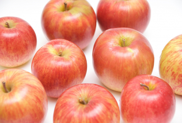 皮つきの青森のりんごを丸ごと使ったユニークな贅沢アップルパイ！ | 日本全国お取り寄せ手帖