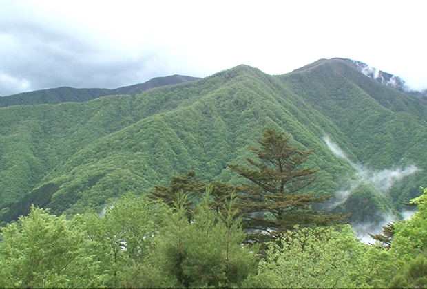 三峰山雲海