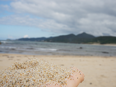 丹後にある町のひとつ、網野町にある琴引浜では、鳴き砂で有名な美しい砂丘として、観光としても人気です。