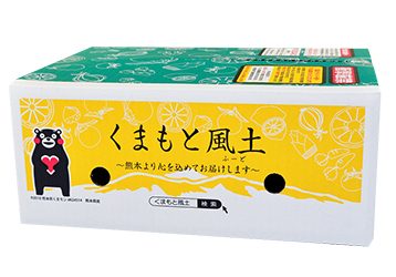 熊本小玉完熟みかん／くまもと風土