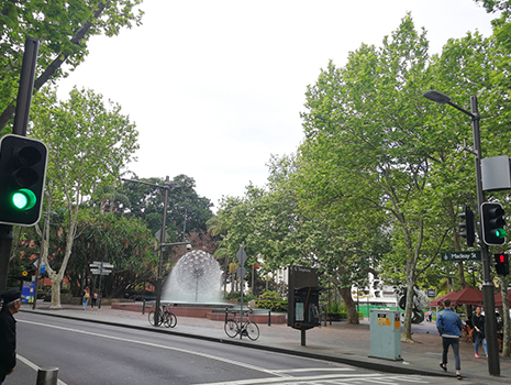 この地域は人気のカフェ、レストランが集中する場所として有名です。