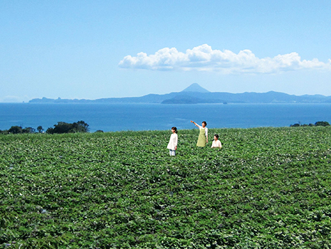 鹿児島県大隅半島(日本本土の最南端)にある直営農場