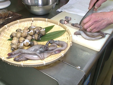 ゲンゲは幻魚とも書き、それこそ幻の深海魚として金沢の居酒屋等で珍重され何度か食した。