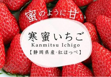 蜜のように甘い！？ “寒じめ栽培”で糖度をあげた『寒蜜いちご』登場！