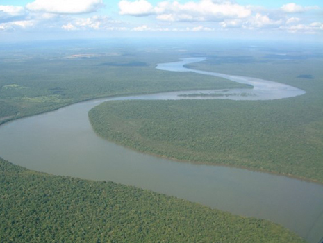 当社のプロポリスは、アルテピリンCを含むブラジル産のグリーンプロポリスを使用し、回復力はもろちん、“戦う力”をサポートするのが特徴です