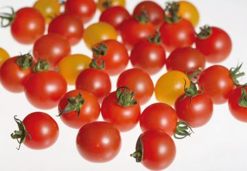有機培土を使った驚きの甘さ！　トマトが苦手な人にも好評の『オスミックトマト』