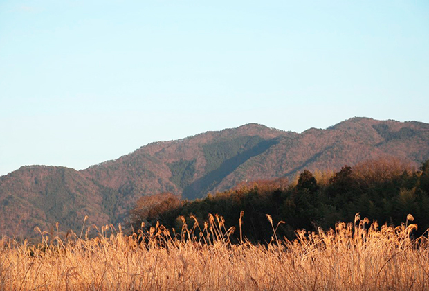 丹波篠山は、昔から日本の三大猟場として有名な土地