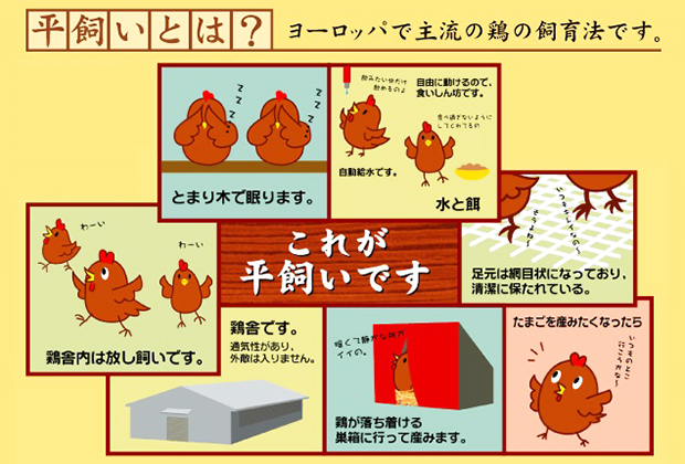 倉持産業株式会社が手がける「鳥羽田農場の平飼いたまご」は、ケージで育てるのではなく、昔ながらのニワトリの飼い方を模索して生まれた商品