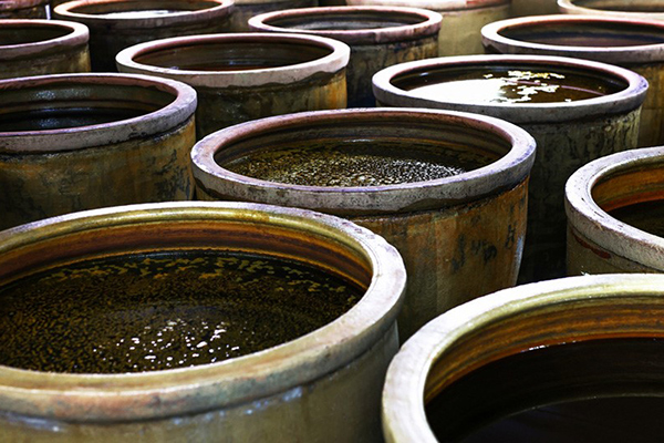 野草のエキスは陶器製の甕に入れて約1年間、熟成・発酵させる。