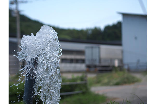 球磨川水系がもたらすこのミネラル豊かな清水を毎日飲んで、健康な牛に育っています。