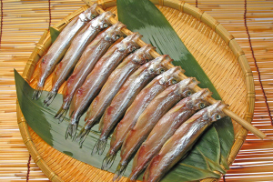 カネダイ大野商店「生干しししゃも」