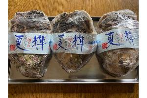 鳥取県産天然岩ガキ【夏輝】1kg（3個）。見よ、この堂々たる姿！　殻を開けるのがむずかしいという人は「上蓋開け」を指定すれば、上蓋を取って送ってもらえます。