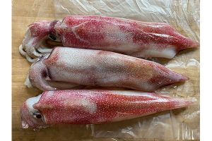 白イカ（ケンサキイカ）生1kg（3本）。真っ赤な皮を向くと、真っ白な身が出現。 新鮮なので、剣のように身が固く、先がとんがっています。