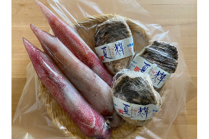 鳥取の海からの贈りもの 株式会社魚倉の絶品「白イカ」、岩ガキ「夏輝（なつき）」
