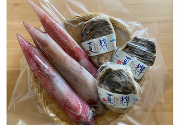 鳥取の海からの贈りもの 株式会社魚倉の絶品「白イカ」、岩ガキ「夏輝（なつき）」