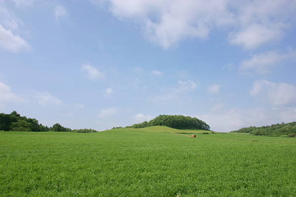 岩瀬牧場_2