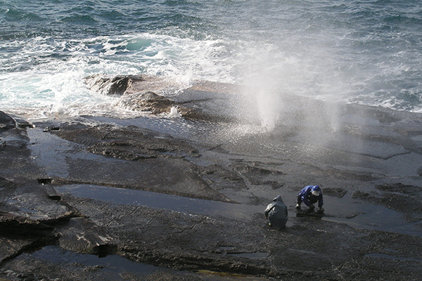 海産物松村_3