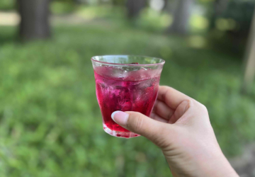 無農薬で安心して飲める！宮城の農家がつくる「濃縮 赤しそジュース シロップ」
