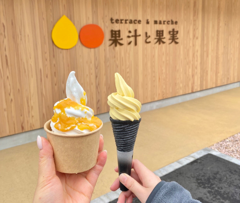 早和果樹園_9