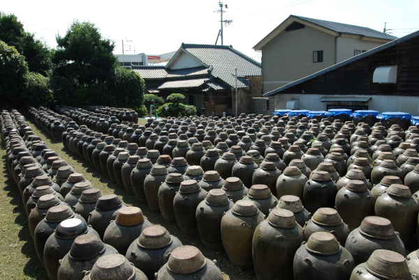坂元醸造_1